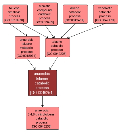 GO:0046254 - anaerobic toluene catabolic process (interactive image map)