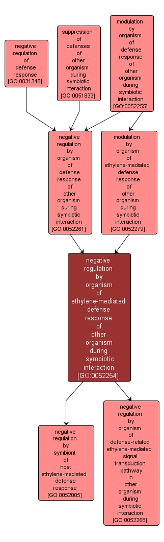 GO:0052254 - negative regulation by organism of ethylene-mediated defense response of other organism during symbiotic interaction (interactive image map)