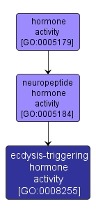GO:0008255 - ecdysis-triggering hormone activity (interactive image map)