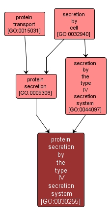 GO:0030255 - protein secretion by the type IV secretion system (interactive image map)