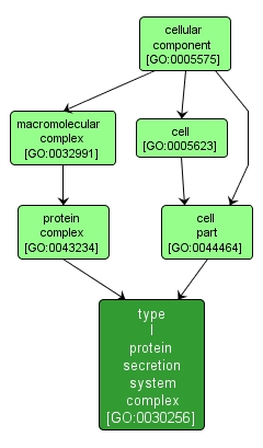 GO:0030256 - type I protein secretion system complex (interactive image map)