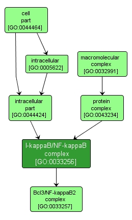 GO:0033256 - I-kappaB/NF-kappaB complex (interactive image map)