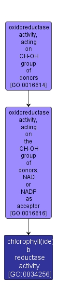 GO:0034256 - chlorophyll(ide) b reductase activity (interactive image map)