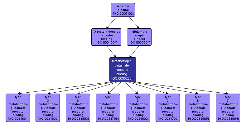 GO:0035256 - metabotropic glutamate receptor binding (interactive image map)