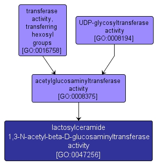 GO:0047256 - lactosylceramide 1,3-N-acetyl-beta-D-glucosaminyltransferase activity (interactive image map)