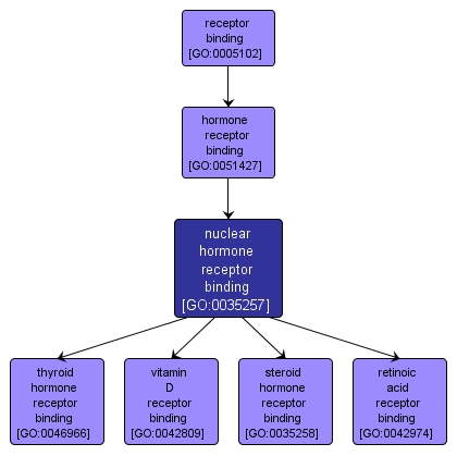 GO:0035257 - nuclear hormone receptor binding (interactive image map)