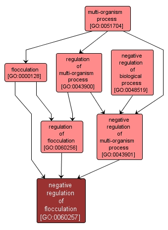 GO:0060257 - negative regulation of flocculation (interactive image map)