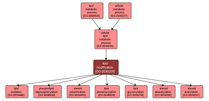 GO:0030258 - lipid modification (interactive image map)