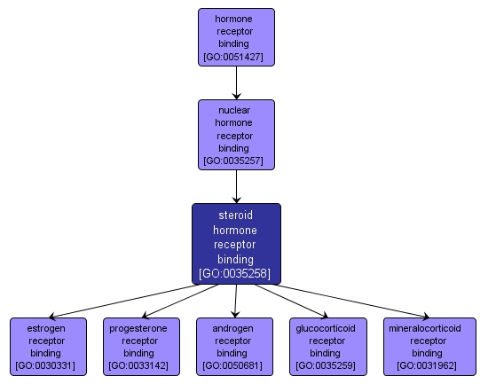 GO:0035258 - steroid hormone receptor binding (interactive image map)