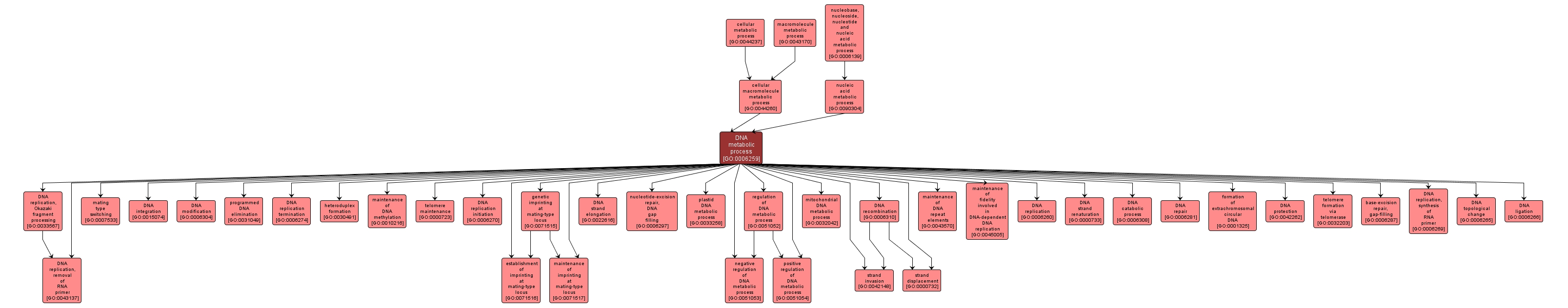 GO:0006259 - DNA metabolic process (interactive image map)