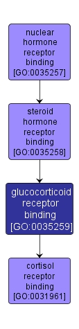 GO:0035259 - glucocorticoid receptor binding (interactive image map)