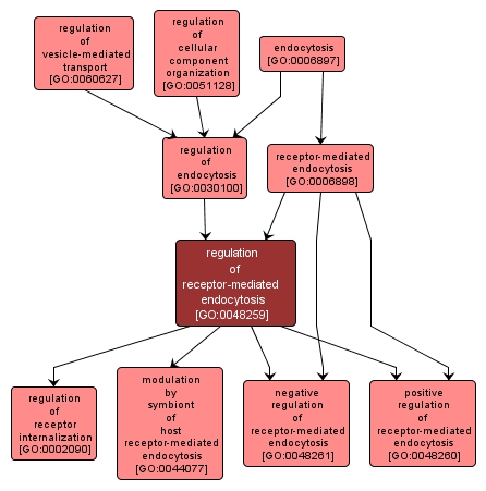 GO:0048259 - regulation of receptor-mediated endocytosis (interactive image map)