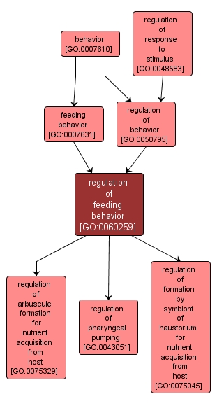 GO:0060259 - regulation of feeding behavior (interactive image map)