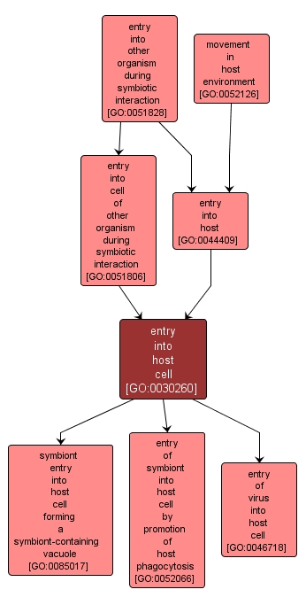 GO:0030260 - entry into host cell (interactive image map)