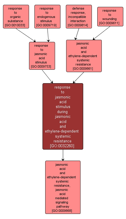 GO:0032260 - response to jasmonic acid stimulus during jasmonic acid and ethylene-dependent systemic resistance (interactive image map)