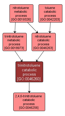 GO:0046260 - trinitrotoluene catabolic process (interactive image map)
