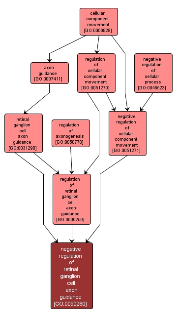 GO:0090260 - negative regulation of retinal ganglion cell axon guidance (interactive image map)