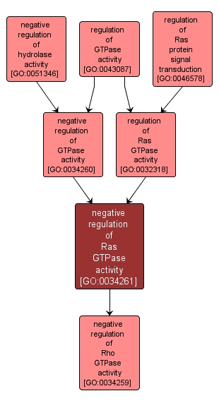 GO:0034261 - negative regulation of Ras GTPase activity (interactive image map)