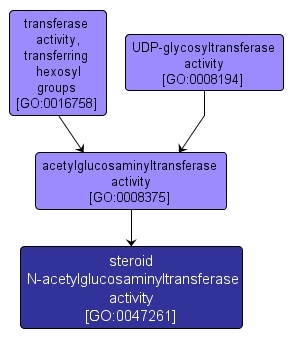 GO:0047261 - steroid N-acetylglucosaminyltransferase activity (interactive image map)