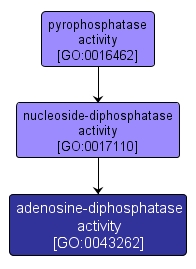 GO:0043262 - adenosine-diphosphatase activity (interactive image map)