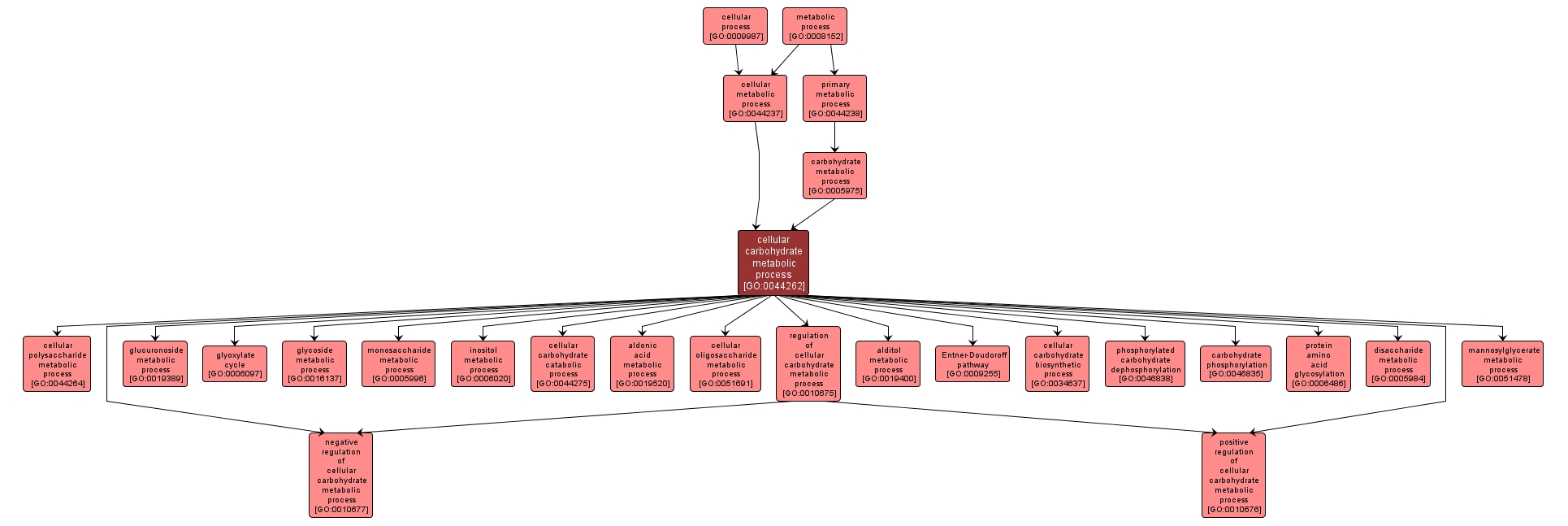 GO:0044262 - cellular carbohydrate metabolic process (interactive image map)