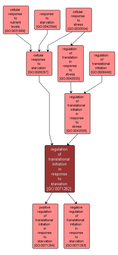 GO:0071262 - regulation of translational initiation in response to starvation (interactive image map)