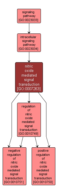 GO:0007263 - nitric oxide mediated signal transduction (interactive image map)