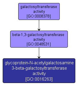 GO:0016263 - glycoprotein-N-acetylgalactosamine 3-beta-galactosyltransferase activity (interactive image map)