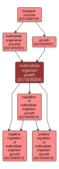 GO:0035264 - multicellular organism growth (interactive image map)