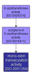 GO:0051264 - mono-olein transacylation activity (interactive image map)