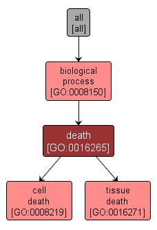 GO:0016265 - death (interactive image map)