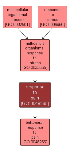 GO:0048265 - response to pain (interactive image map)