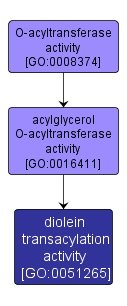 GO:0051265 - diolein transacylation activity (interactive image map)