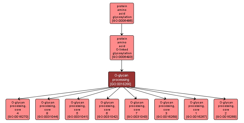 GO:0016266 - O-glycan processing (interactive image map)