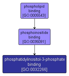 GO:0032266 - phosphatidylinositol-3-phosphate binding (interactive image map)