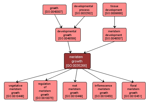 GO:0035266 - meristem growth (interactive image map)