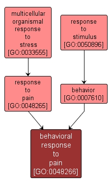 GO:0048266 - behavioral response to pain (interactive image map)