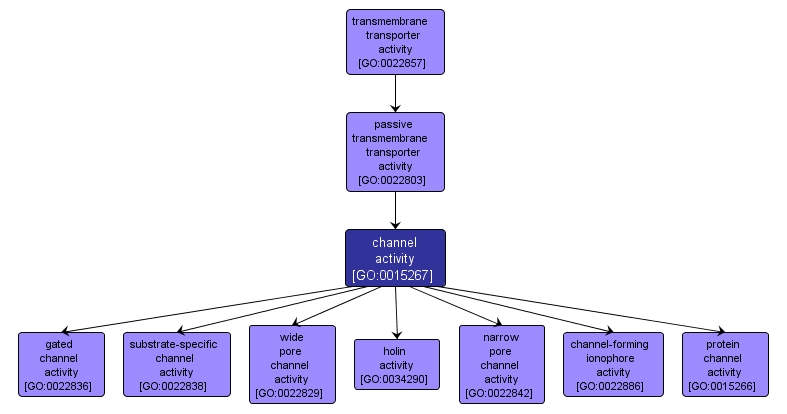 GO:0015267 - channel activity (interactive image map)