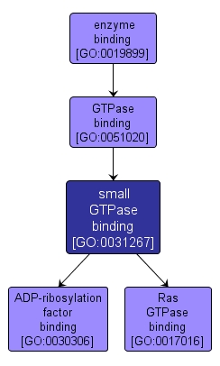GO:0031267 - small GTPase binding (interactive image map)