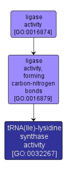 GO:0032267 - tRNA(Ile)-lysidine synthase activity (interactive image map)