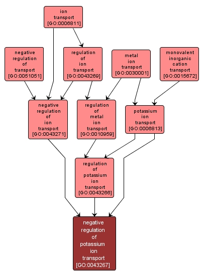 GO:0043267 - negative regulation of potassium ion transport (interactive image map)