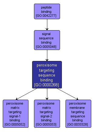 GO:0000268 - peroxisome targeting sequence binding (interactive image map)