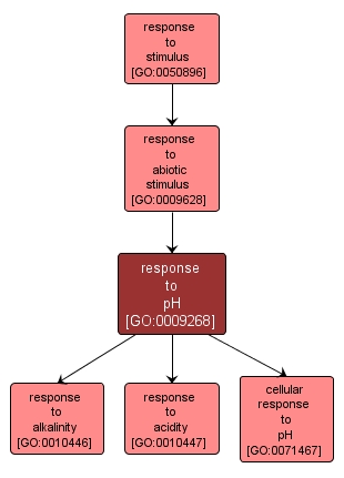 GO:0009268 - response to pH (interactive image map)