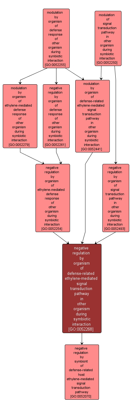 GO:0052268 - negative regulation by organism of defense-related ethylene-mediated signal transduction pathway in other organism during symbiotic interaction (interactive image map)
