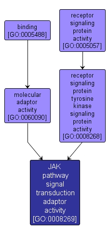 GO:0008269 - JAK pathway signal transduction adaptor activity (interactive image map)
