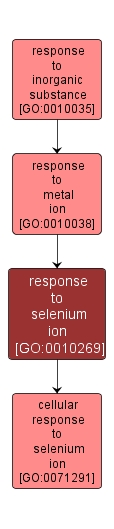GO:0010269 - response to selenium ion (interactive image map)