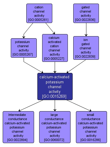 GO:0015269 - calcium-activated potassium channel activity (interactive image map)