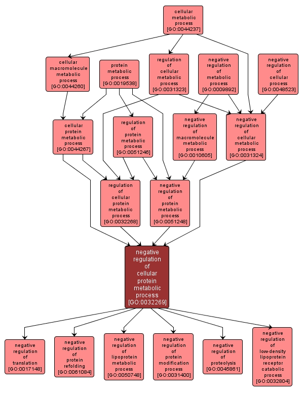 GO:0032269 - negative regulation of cellular protein metabolic process (interactive image map)