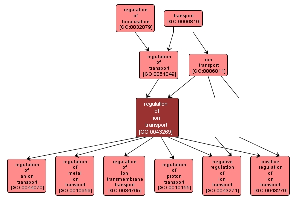 GO:0043269 - regulation of ion transport (interactive image map)