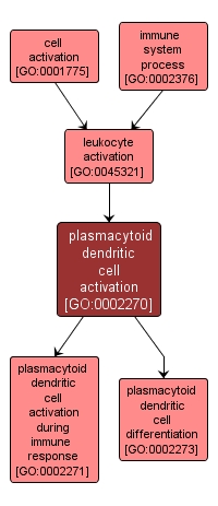 GO:0002270 - plasmacytoid dendritic cell activation (interactive image map)